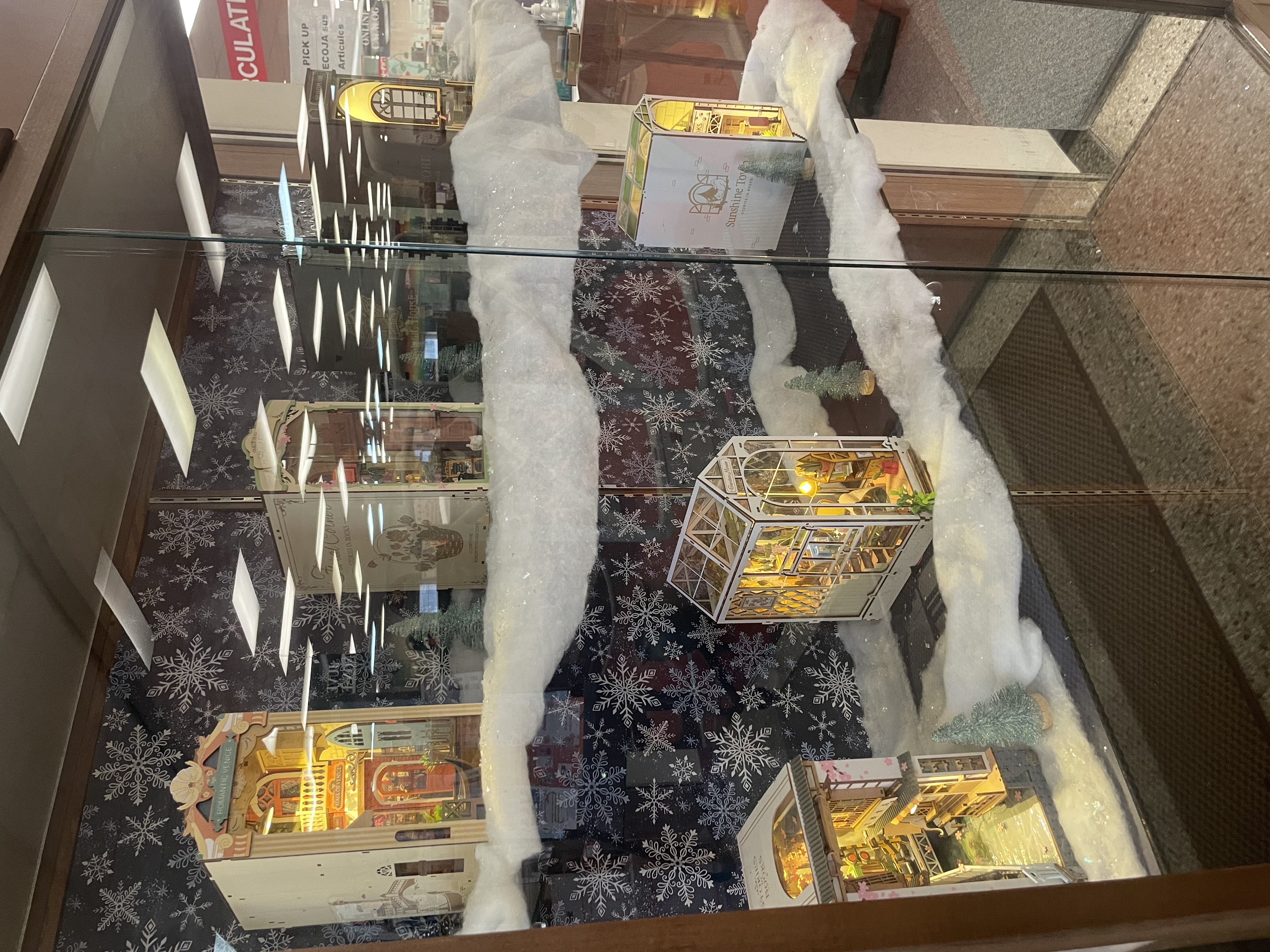 Display case of bookends